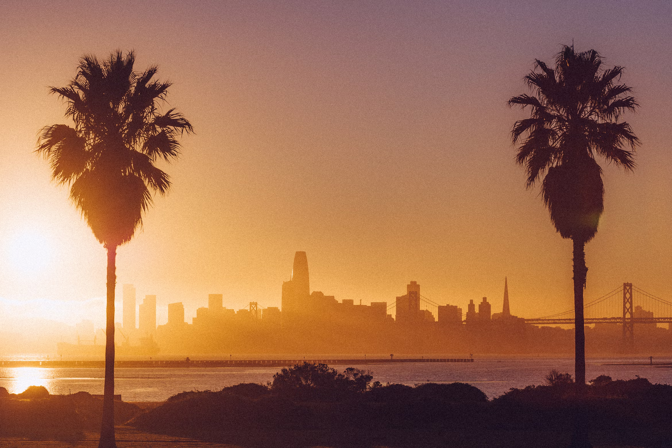 Bay Area skyline at sunset